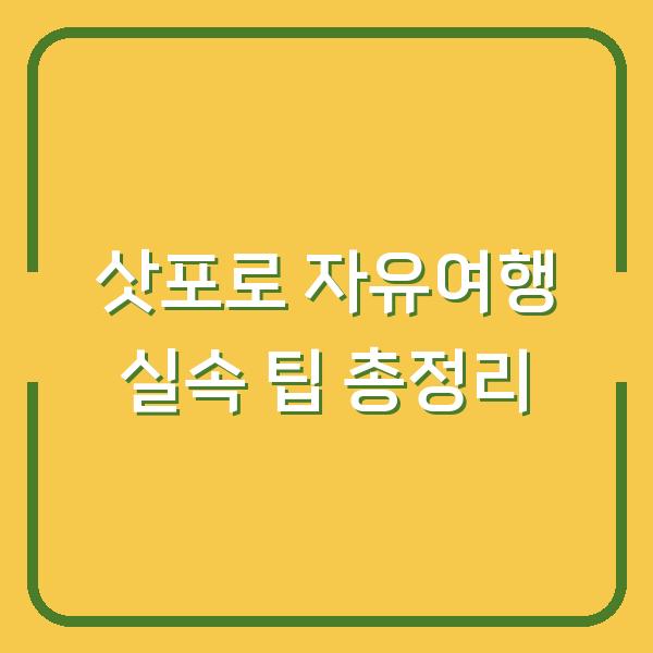 삿포로 자유여행 실속 팁 총정리