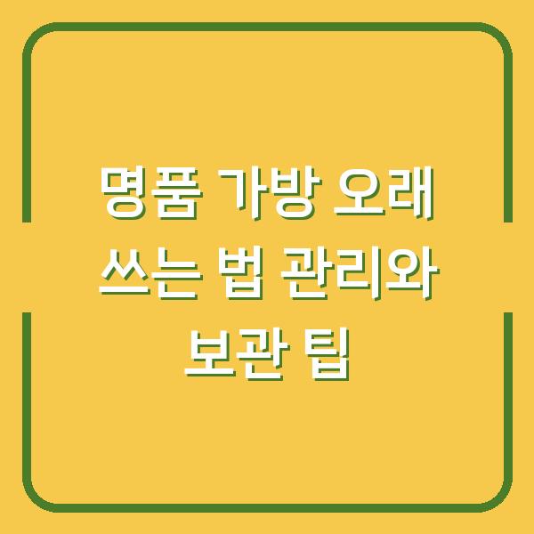 명품 가방 오래 쓰는 법 관리와 보관 팁