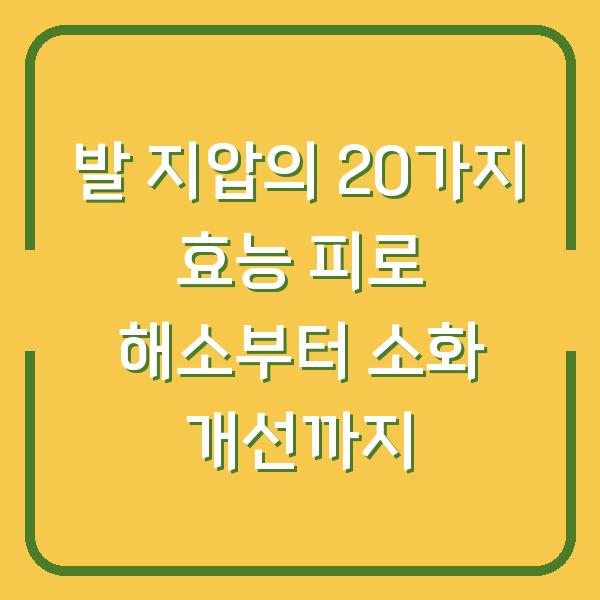 발 지압의 20가지 효능 피로 해소부터 소화 개선까지