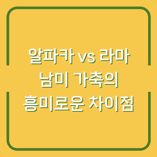 알파카 vs 라마 남미 가축의 흥미로운 차이점