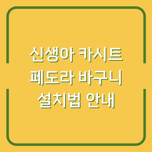 신생아 카시트 페도라 바구니 설치법 안내