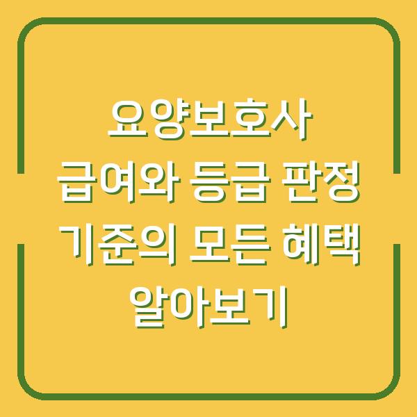 요양보호사 급여와 등급 판정 기준의 모든 혜택 알아보기
