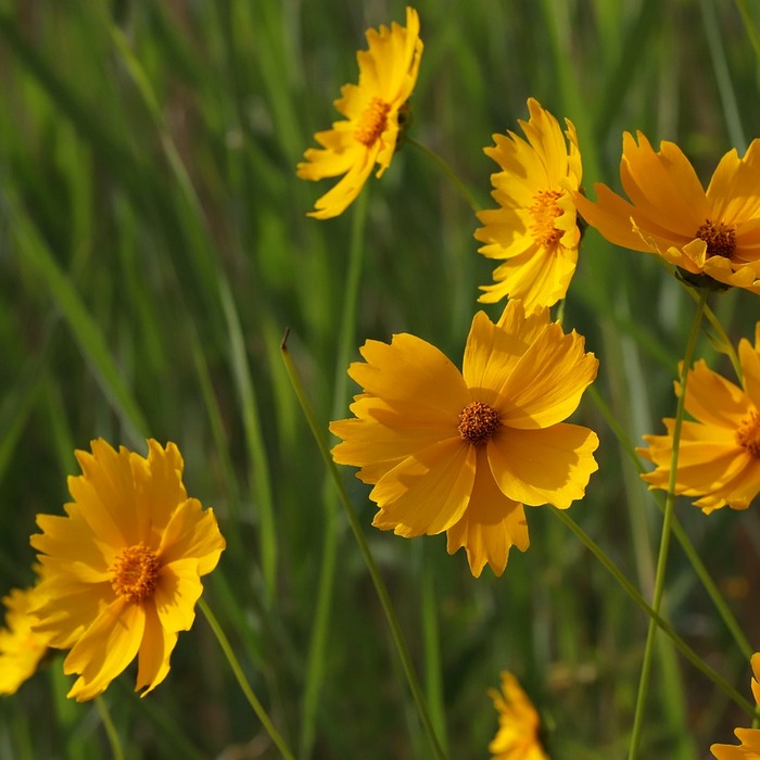 연금계좌세액공제