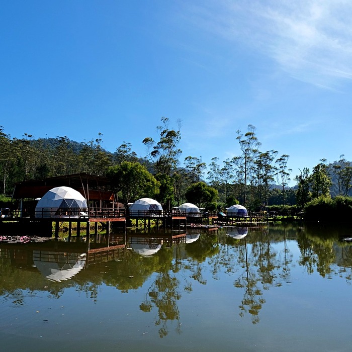 대왕암오토캠핑장