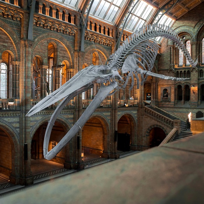 문화 활동 전시회