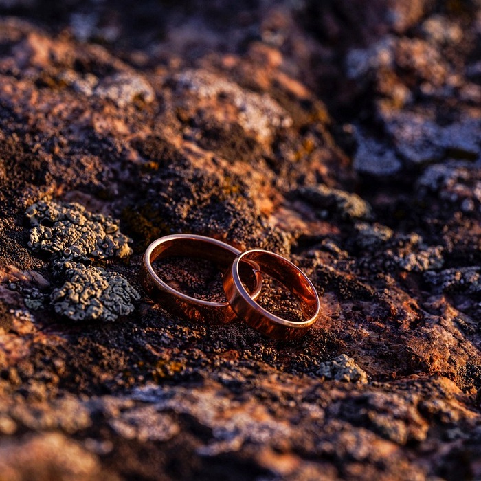 가족 소통 강화