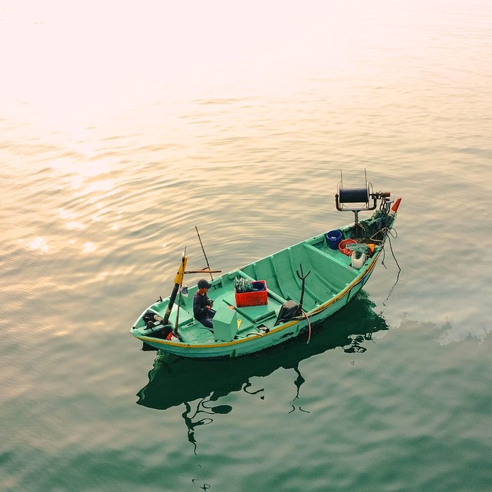 무늬오징어 낚시