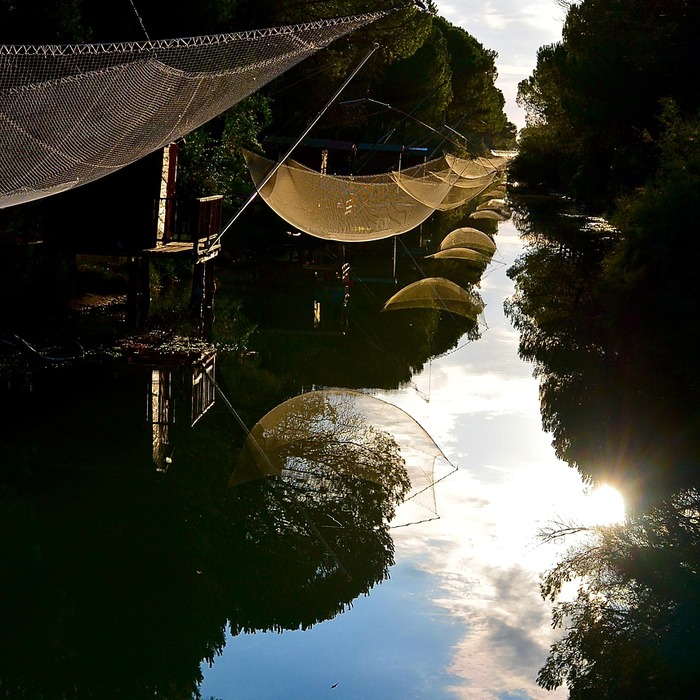 자궁경부 상피내암