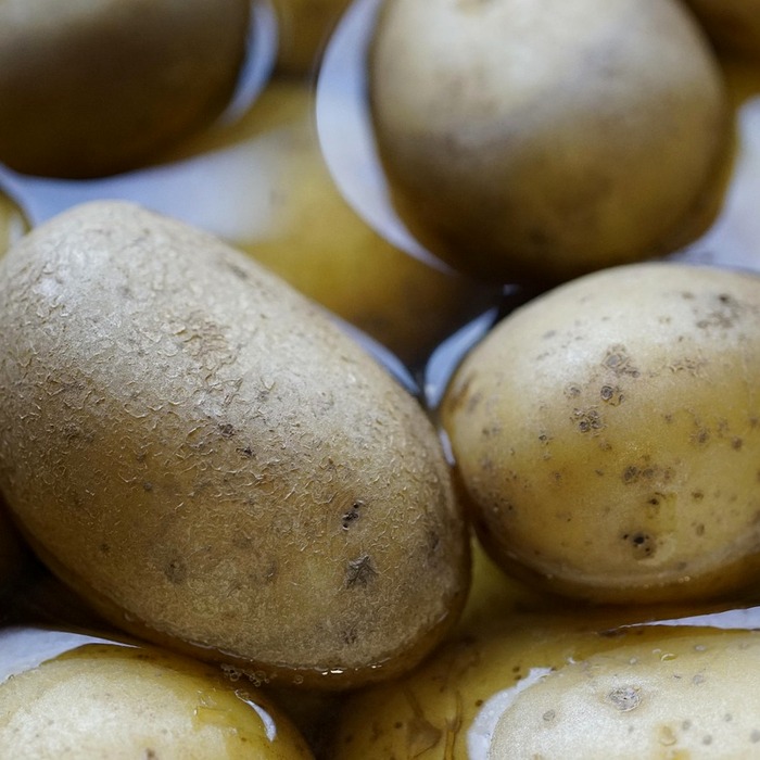 고칼륨혈증 증상