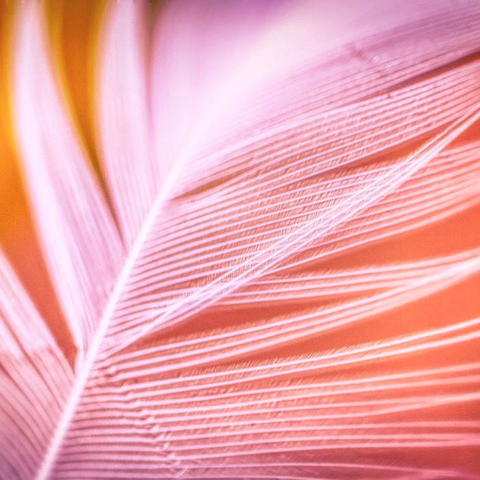 부드러운 흡입감