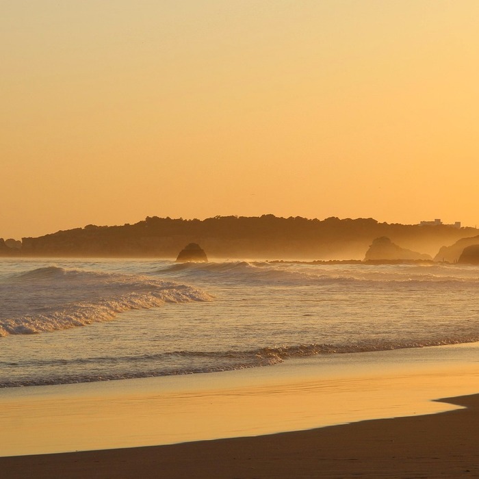 물고기 꿈 해석