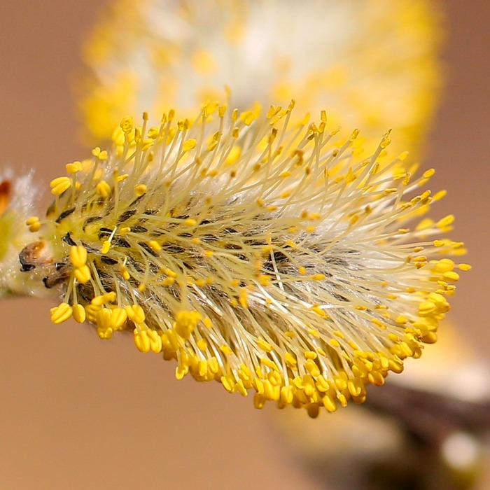 정정신고서 작성