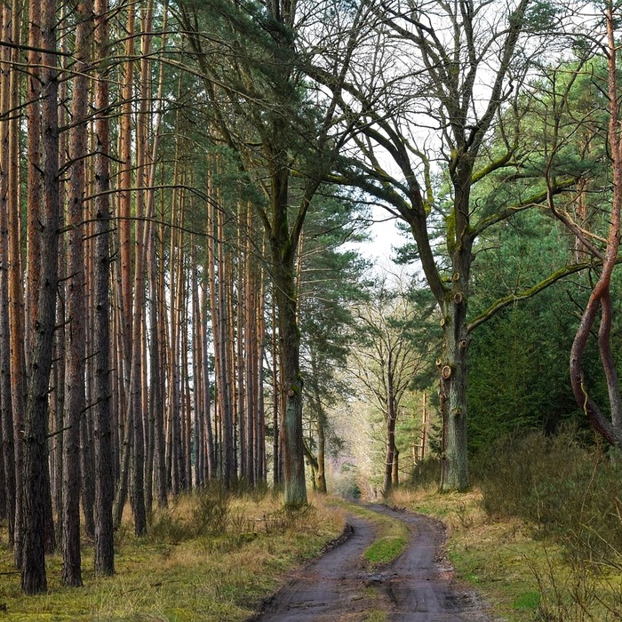 예방적 관리 방법