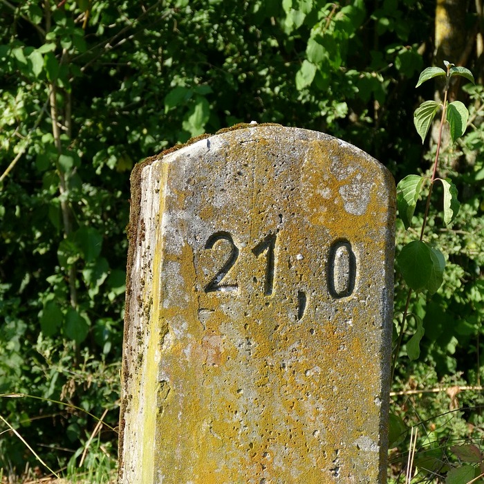 대한항공 마일리지