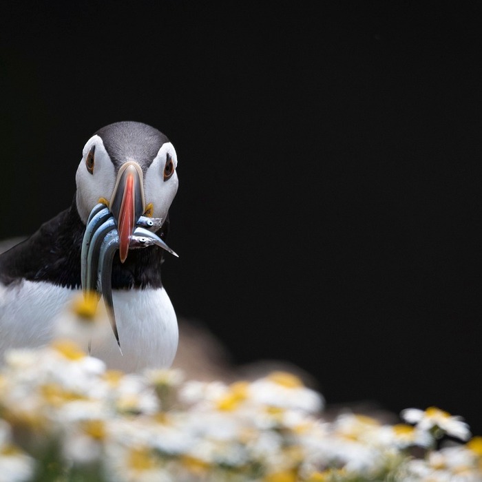 텍스트 음성 변환