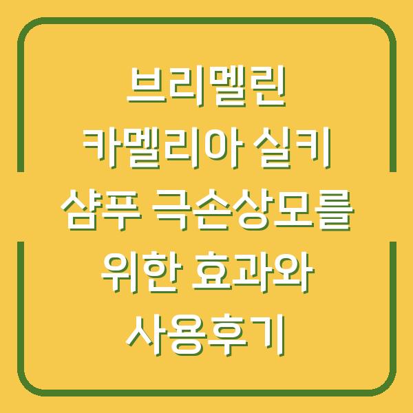 브리멜린 카멜리아 실키 샴푸 극손상모를 위한 효과와 사용후기