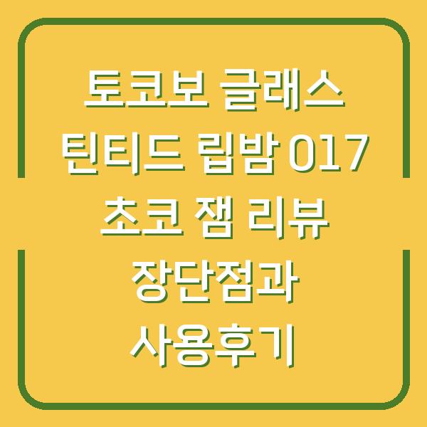 토코보 글래스 틴티드 립밤 017 초코 잼 리뷰 장단점과 사용후기