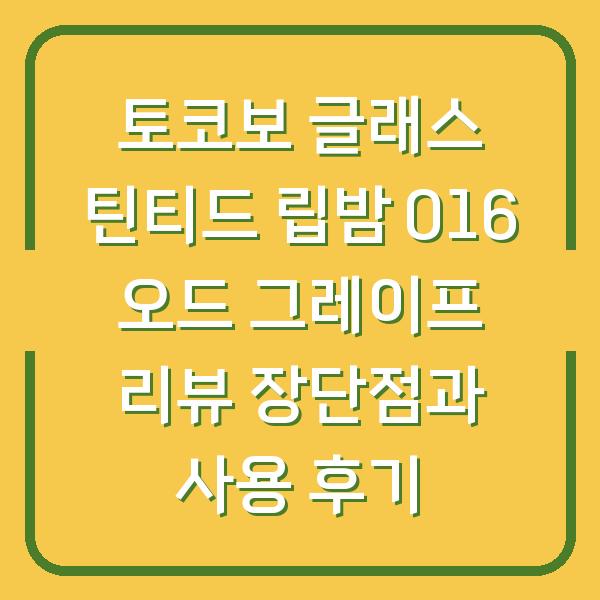 토코보 글래스 틴티드 립밤 016 오드 그레이프 리뷰 장단점과 사용 후기