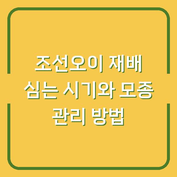 조선오이 재배 심는 시기와 모종 관리 방법