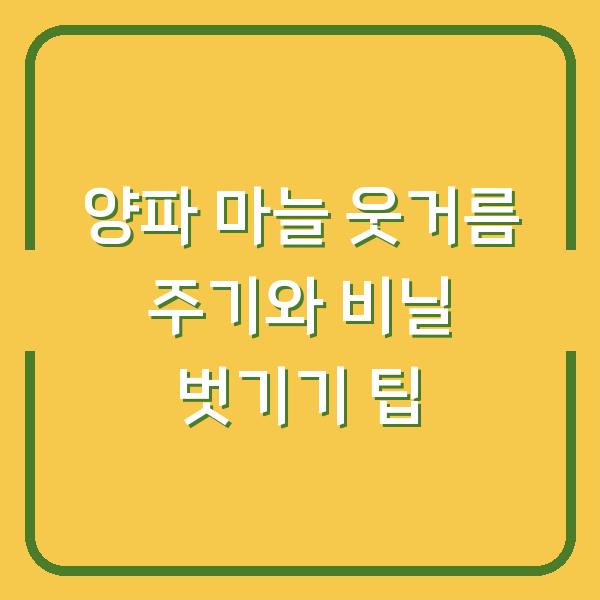 양파 마늘 웃거름 주기와 비닐 벗기기 팁