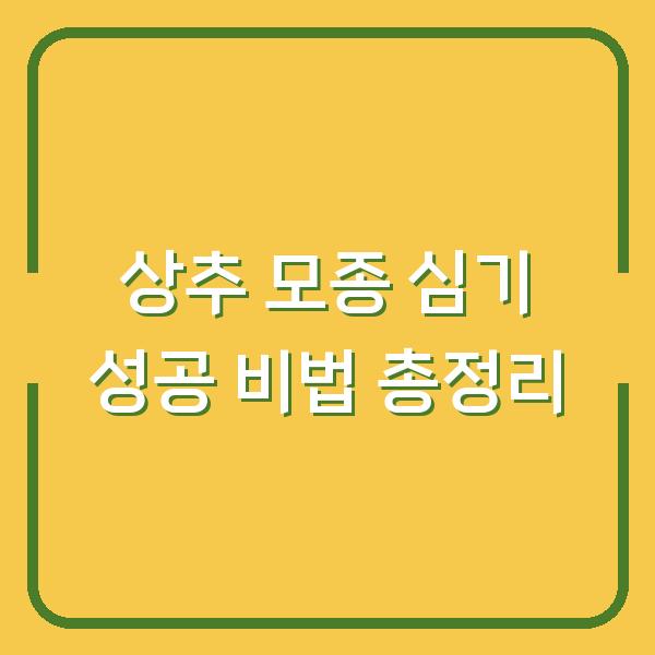 상추 모종 심기 성공 비법 총정리