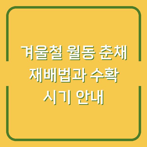 겨울철 월동 춘채 재배법과 수확 시기 안내