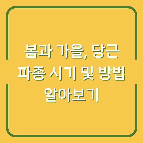 봄과 가을, 당근 파종 시기 및 방법 알아보기