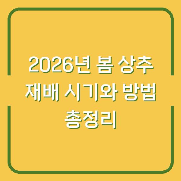 2026년 봄 상추 재배 시기와 방법 총정리