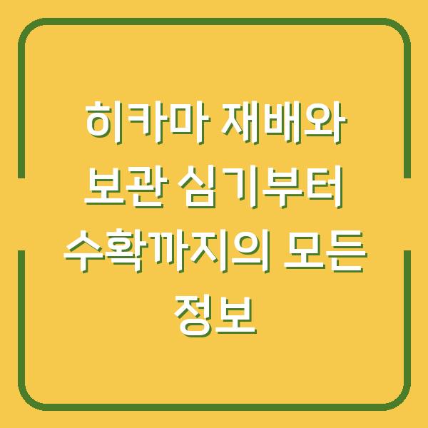 히카마 재배와 보관 심기부터 수확까지의 모든 정보