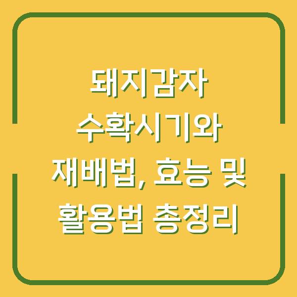 돼지감자 수확시기와 재배법, 효능 및 활용법 총정리
