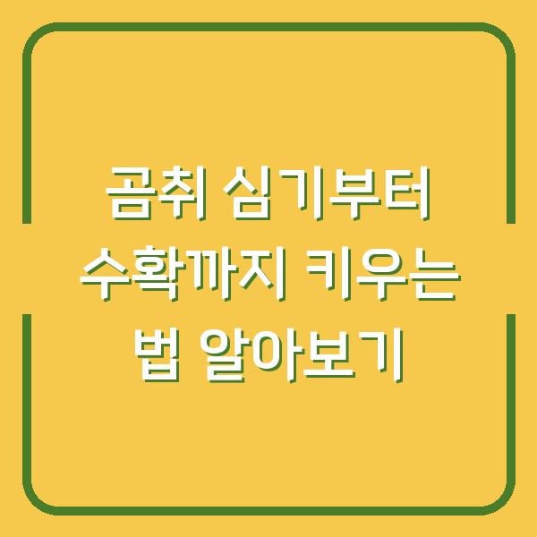 곰취 심기부터 수확까지 키우는 법 알아보기