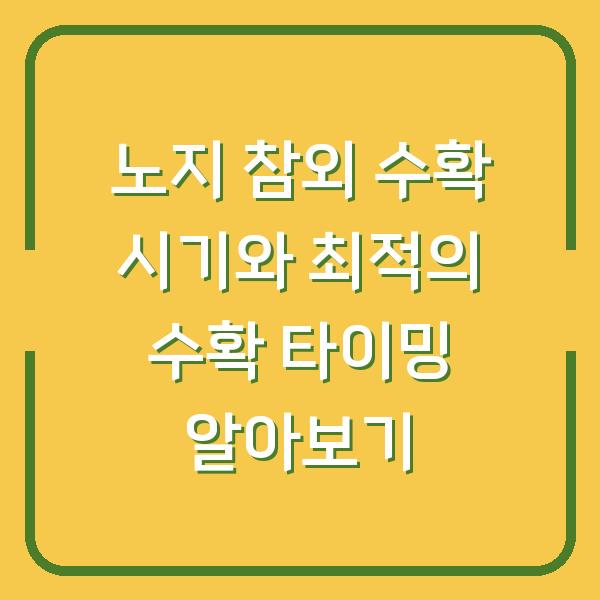 노지 참외 수확 시기와 최적의 수확 타이밍 알아보기