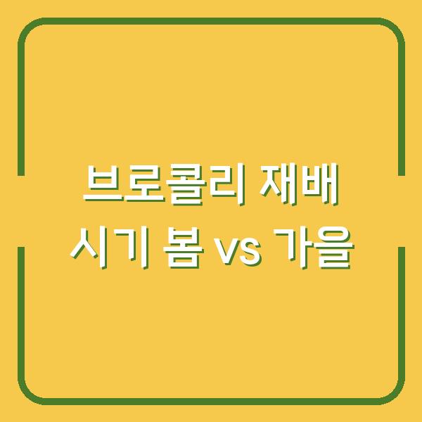 브로콜리 재배 시기 봄 vs 가을