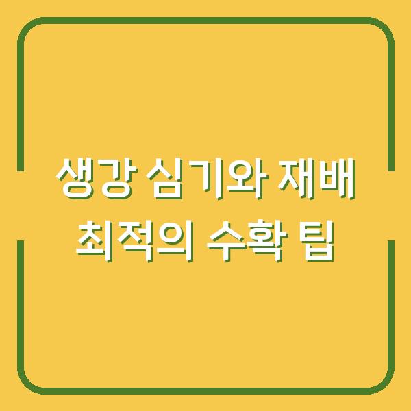 생강 심기와 재배 최적의 수확 팁