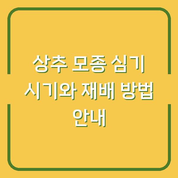 상추 모종 심기 시기와 재배 방법 안내