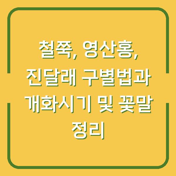 철쭉, 영산홍, 진달래 구별법과 개화시기 및 꽃말 정리