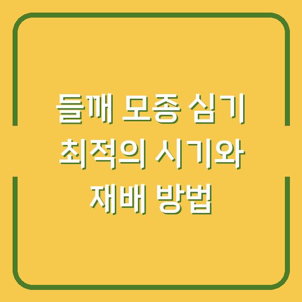 들깨 모종 심기 최적의 시기와 재배 방법