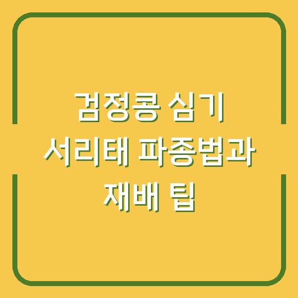 검정콩 심기 서리태 파종법과 재배 팁