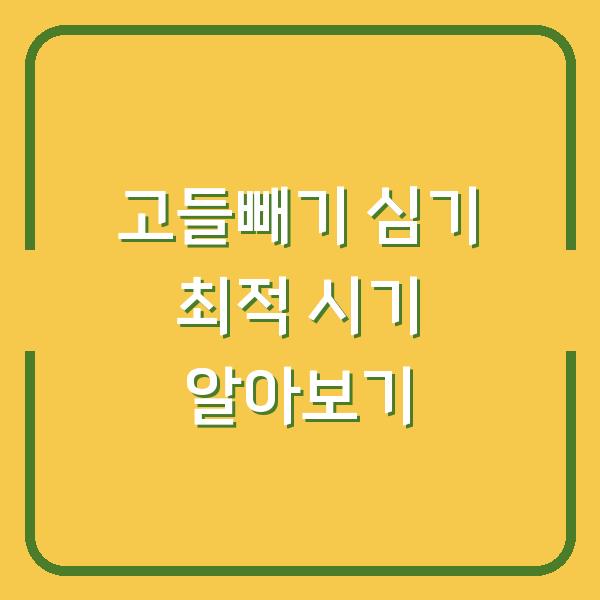 고들빼기 심기 최적 시기 알아보기