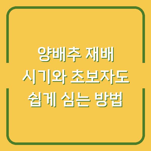 양배추 재배 시기와 초보자도 쉽게 심는 방법