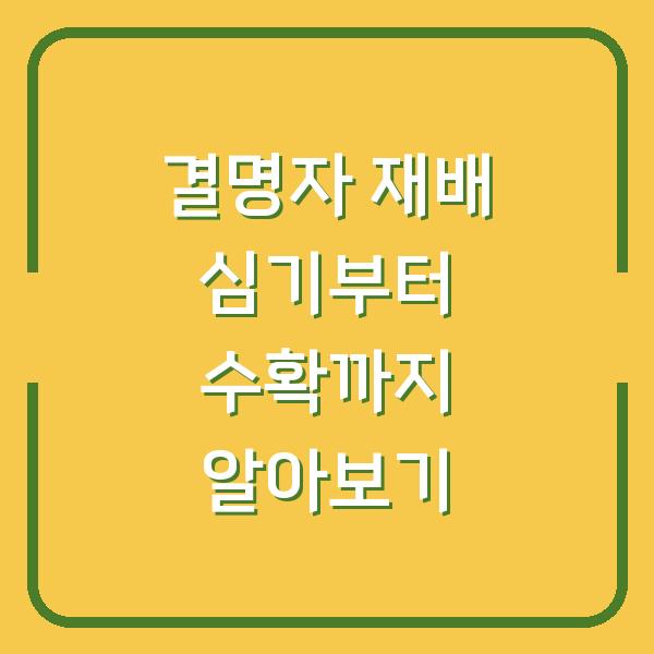 결명자 재배 심기부터 수확까지 알아보기