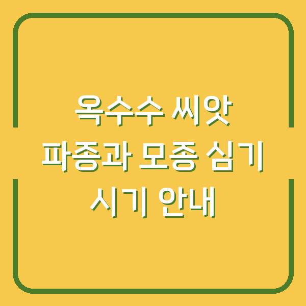 옥수수 씨앗 파종과 모종 심기 시기 안내