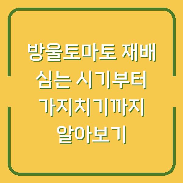 방울토마토 재배 심는 시기부터 가지치기까지 알아보기