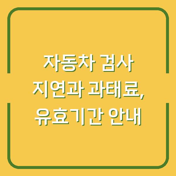 자동차 검사 지연과 과태료, 유효기간 안내