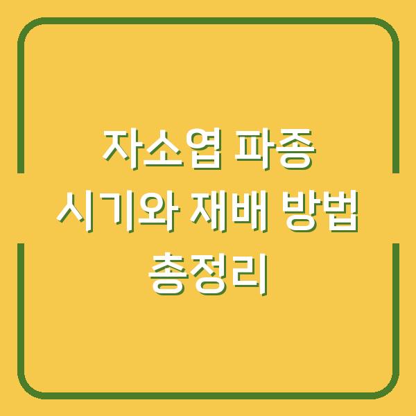 자소엽 파종 시기와 재배 방법 총정리