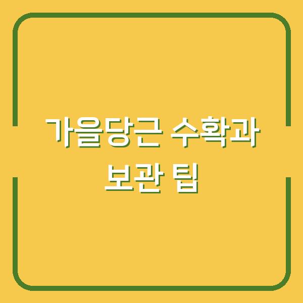 가을당근 수확과 보관 팁