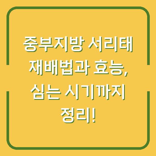 중부지방 서리태 재배법과 효능, 심는 시기까지 정리!