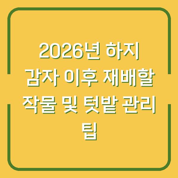 2026년 하지 감자 이후 재배할 작물 및 텃밭 관리 팁