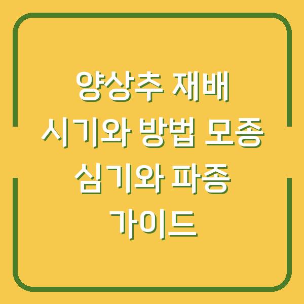 양상추 재배 시기와 방법 모종 심기와 파종 가이드