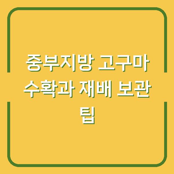중부지방 고구마 수확과 재배 보관 팁